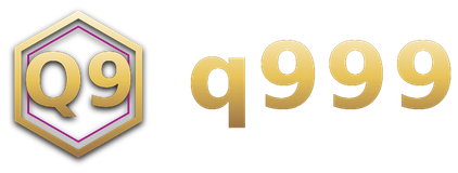 q999 logo